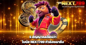 5 สัญญาณเตือนโบนัส NEXT789