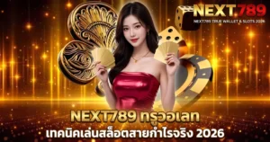 NEXT789 ทรูวอเลท เทคนิคเล่นสล็อตสายกำไรจริง 2026